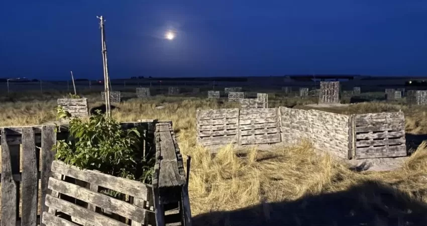 paintball nocturno12