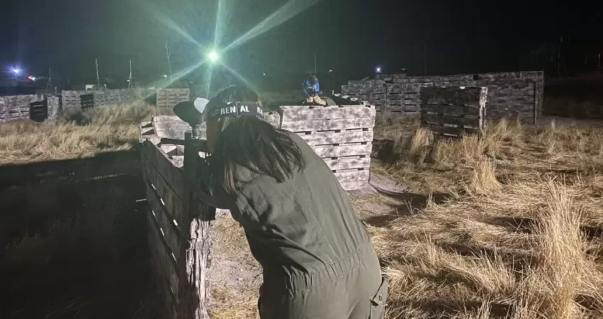 paintball nocturno2